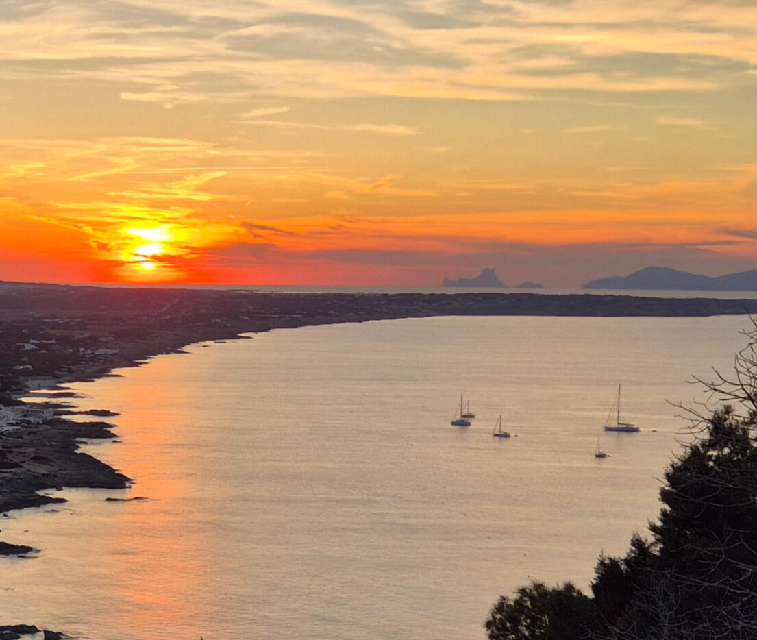 eco sailing in ibiza